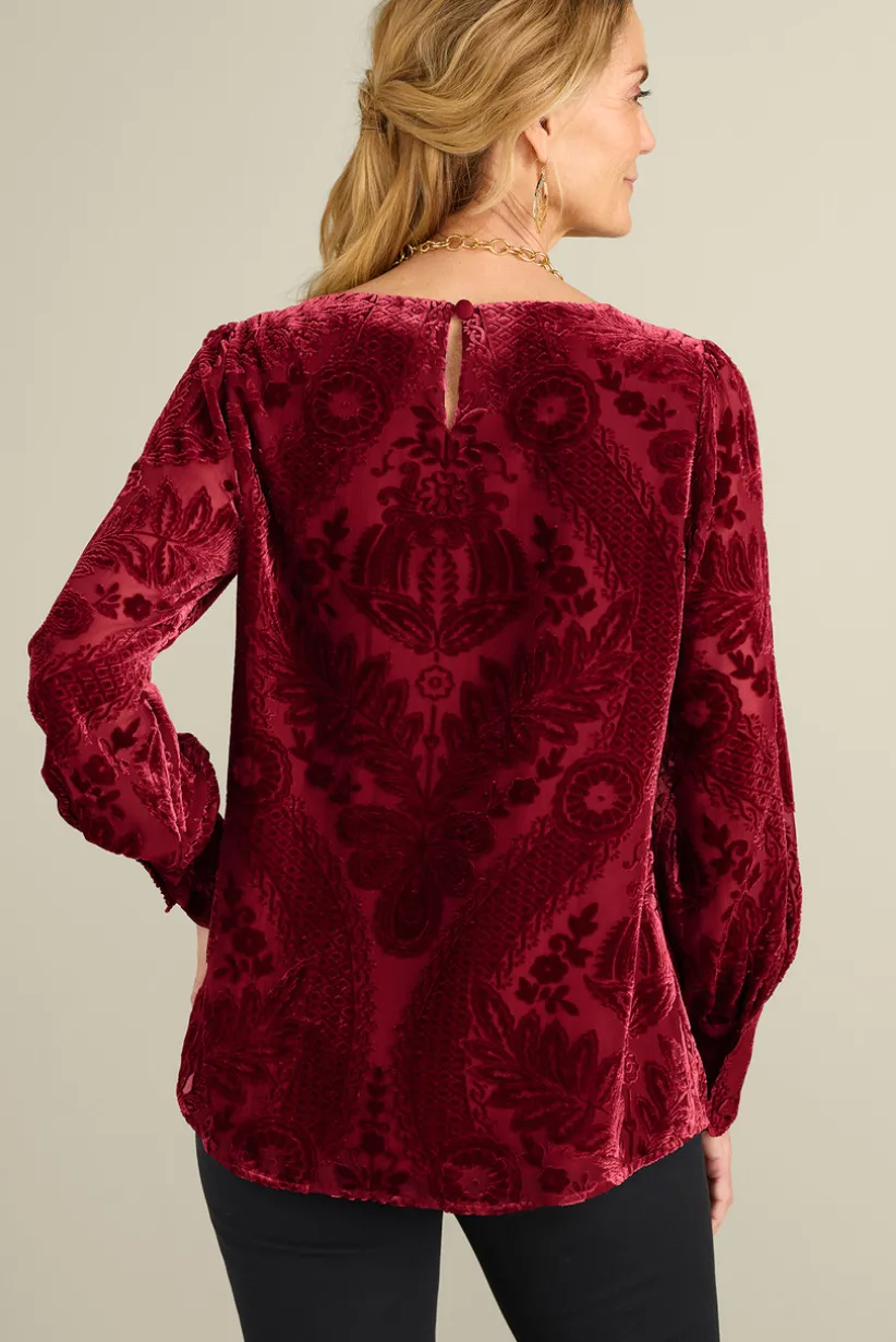 Vanetta Velvet Top