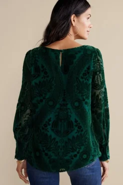 Vanetta Velvet Top